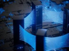 Back Up Your Database or Lose Your Shirt: A Candid Look at Protecting Your Data database management software